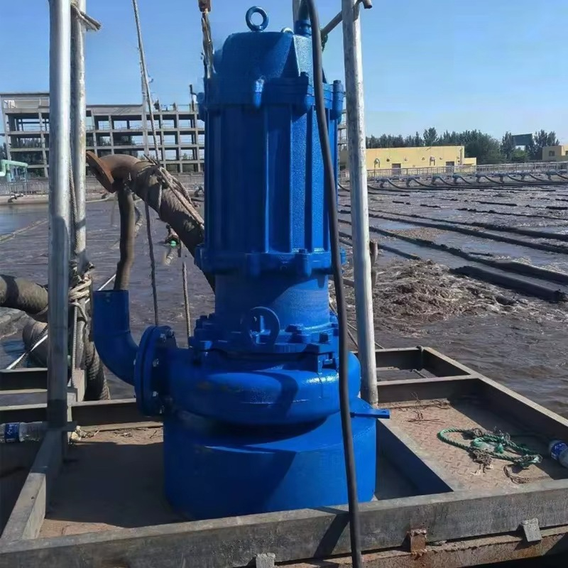 Grote Hydraulische Dompelpomp  - Submersible Pump Sewage recensie en prijs