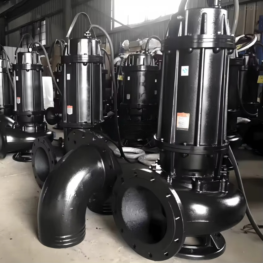 220V Rioolpomp met 380V Dompel - Submersible Pump Sewage recensie en prijs