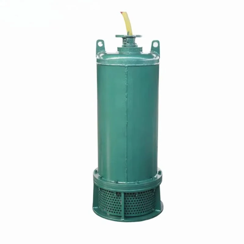 Hoog rendement gietijzeren cen - Submersible Pump Sewage recensie en prijs